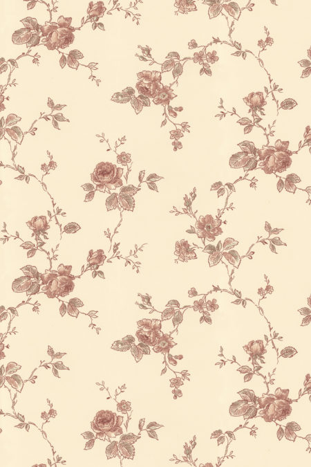 K-43-33-rosen-gul-rodbrun.jpg